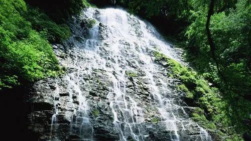 高标准智能可靠性